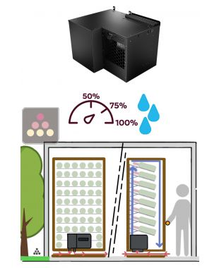 Climatiseur monobloc 1 température pour armoire à vin de 680W - Evacuation Down - Froid et humidification FRIAX