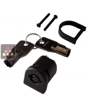 Serrure de remplacement cave à vin avec 2 clés TRANSTHERM