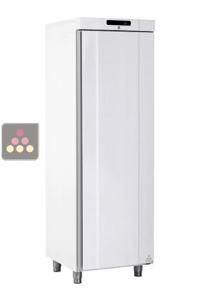 Armoire négative blanche porte pleine - 359L