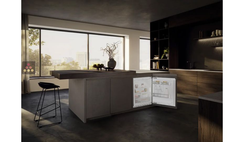 Mini Réfrigérateur encastrable sous plan à panneau décoratif habillable - 127 Litres