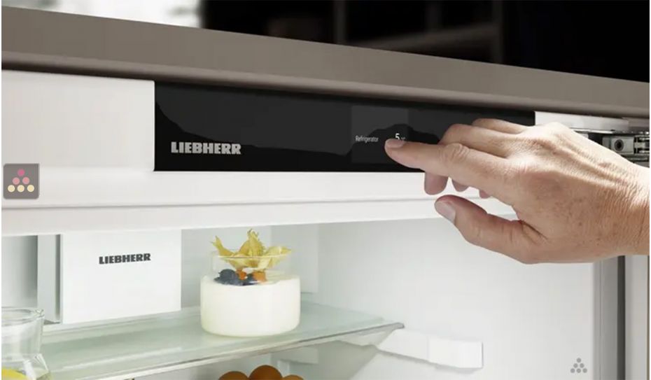 Mini Réfrigérateur encastrable sous plan à panneau décoratif habillable 124 Litres