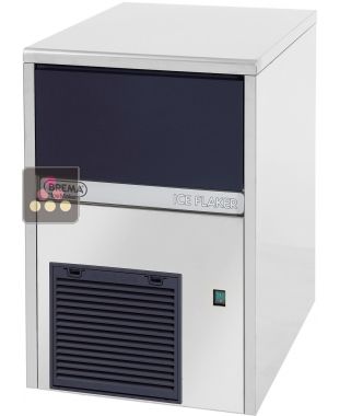 Machine à glace grains 67kg/24h avec réserve intégrée de 10kg - Pose libre - Condenseur à air BREMA