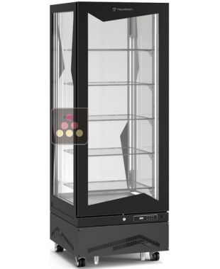 Vitrine verticale positive ventilée - 450L TECFRIGO